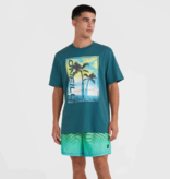 O'Neill Men's Cali Gradient 15" Short