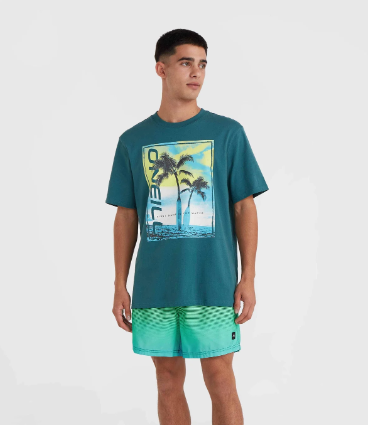 O'Neill Men's Cali Gradient 15" Short