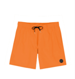 O'Neill O'Neill Solid Volley Short 17"