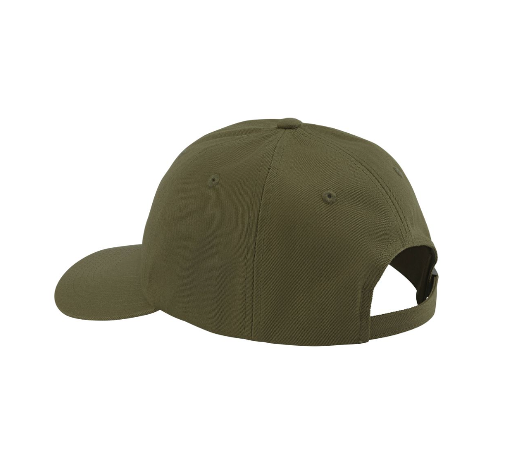 NRS NRS Dad Hat
