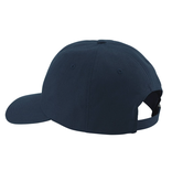 NRS NRS Dad Hat