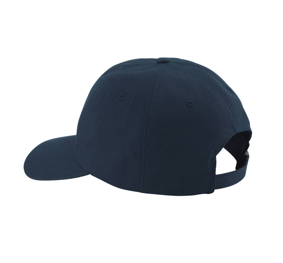 NRS NRS Dad Hat
