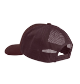 NRS NRS Icon Hat