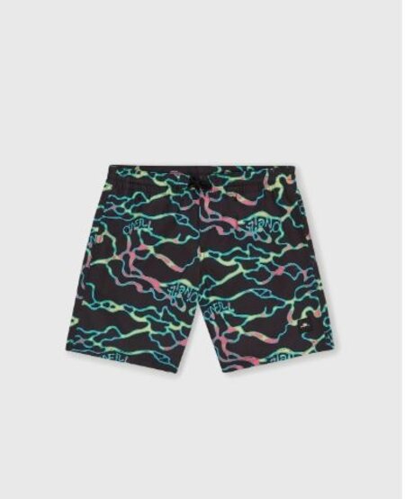 O'Neill CALI Crazy 14 Shorts