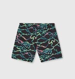 O'Neill O'Neill CALI Crazy 14 Shorts