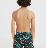 O'Neill O'Neill CALI Crazy 14 Shorts