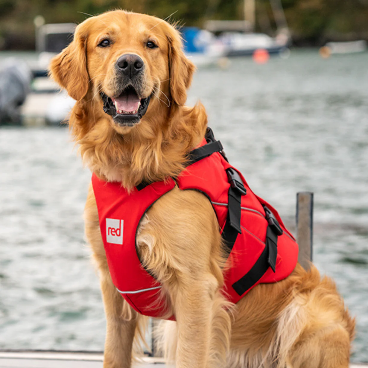 Red Paddle Co Red Original Dog PFD