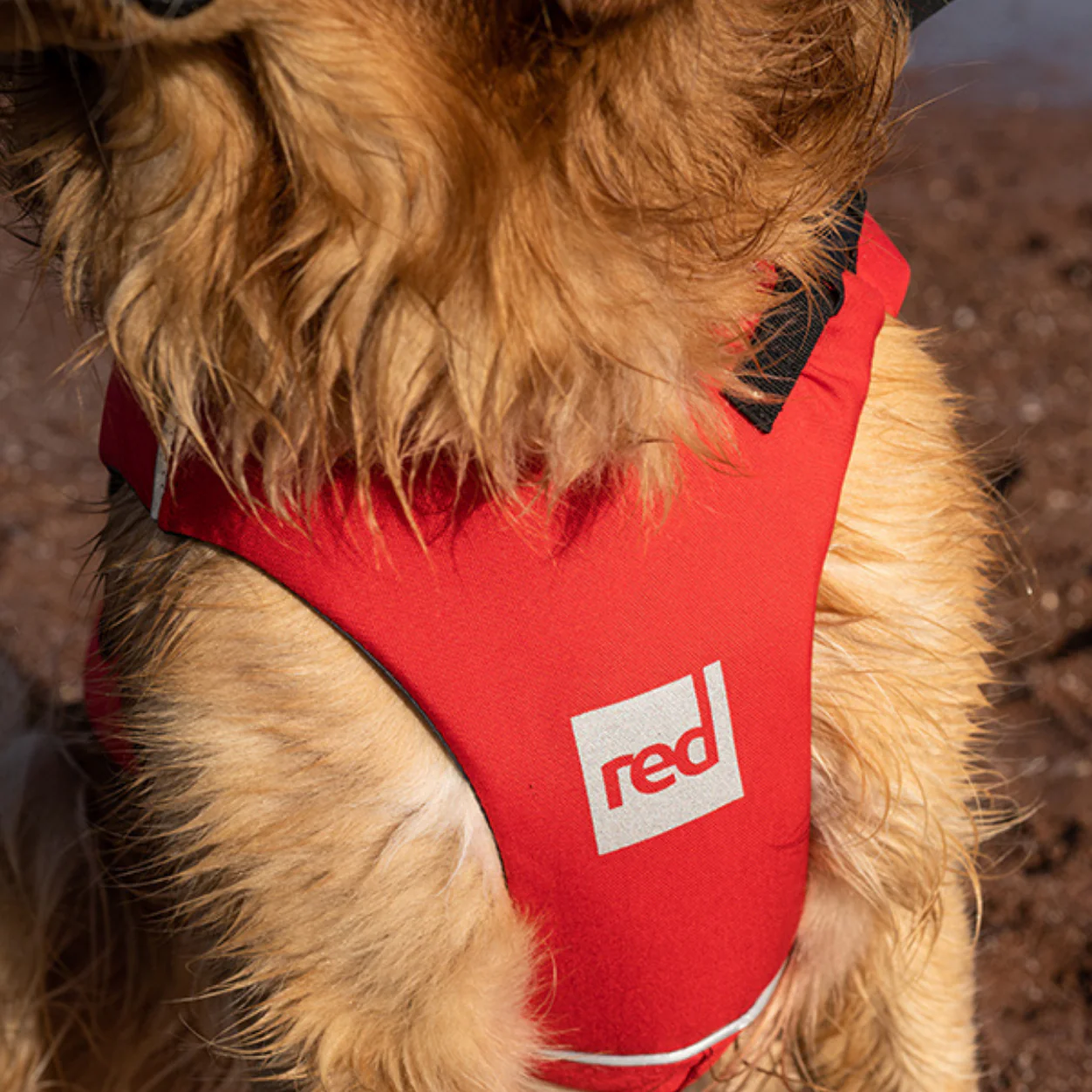 Red Paddle Co Red Original Dog PFD