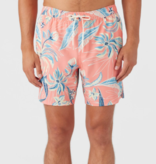 O'Neill Hermosa Elastic waist 17" Swim Suit