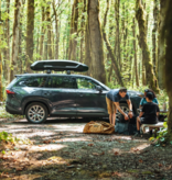 Thule Thule Force XT 3 L Roof Box - Matte Black