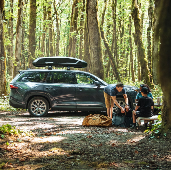 Thule Thule Force XT 3 L Roof Box - Matte Black