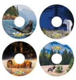 L'il Sucker 2023 L'il Sucker Ring