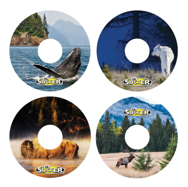 L'il Sucker 2023 L'il Sucker Ring