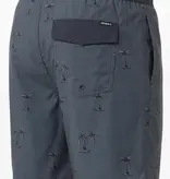 O'Neill O'Neill HERMOSA Lined EW Trunk