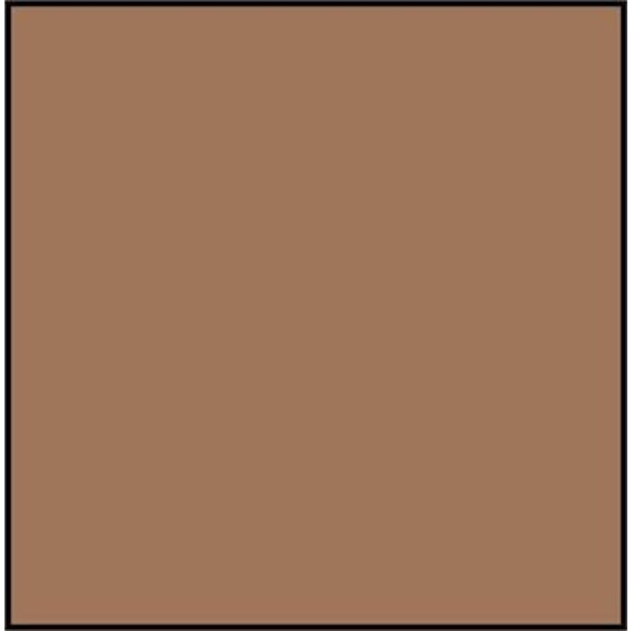 Vallejo Vallejo Model Color Acrylic Paint Tan Earth 17mL