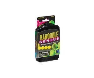 kanoodle genius game