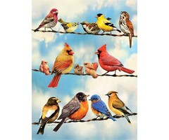 Cobble Hill Puzzles 500 pcs - Birds on a Wire