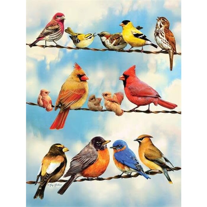 Cobble Hill Puzzles 500 pcs - Birds on a Wire