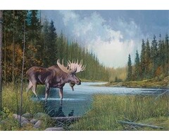 Cobble Hill Puzzles 1000 pcs - Moose Lake