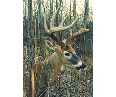 Cobble Hill Puzzles 1000 pcs - White-Tailed Deer