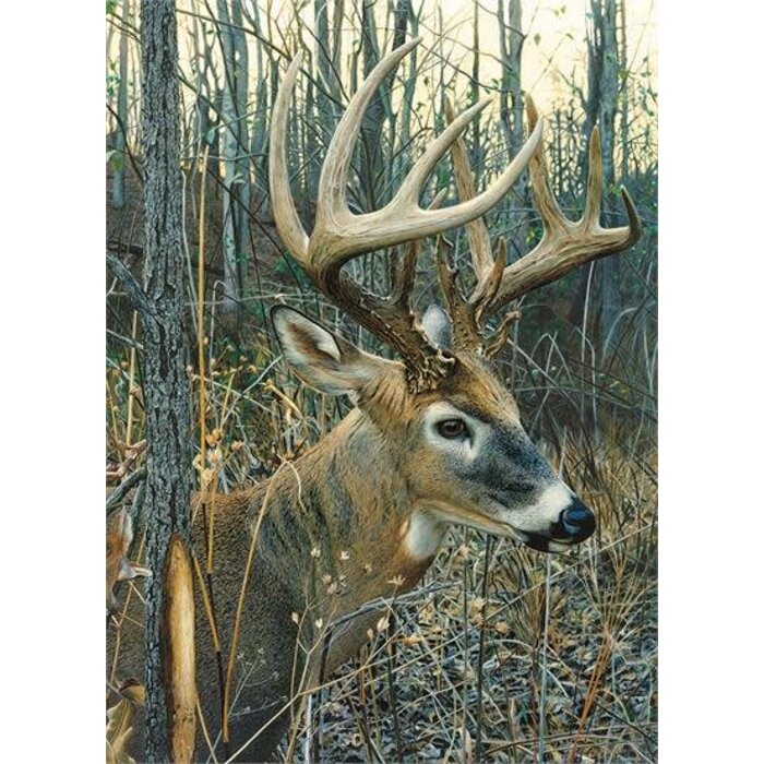 Cobble Hill Puzzles 1000 pcs - White-Tailed Deer