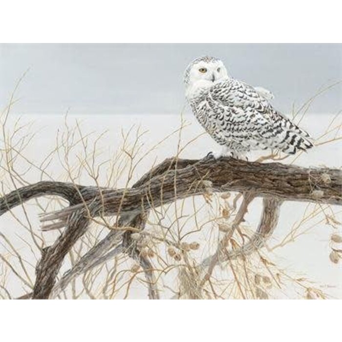 Cobble Hill Puzzles 500 pcs - Fallen Willow Snowy Owl (Robert Bateman)