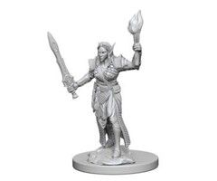 Wizkids/NECA LLC Pathfinder Deep Cuts Miniatures: Elf Fighter Female
