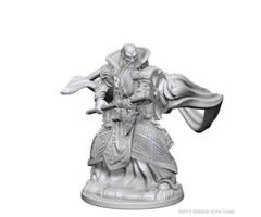 Wizkids/NECA LLC Nolzur's Marvelous Miniatures: Human Wizard Male (2018)