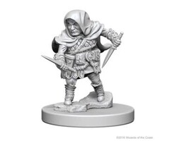 Wizkids/NECA LLC Nolzur's Marvelous Miniatures: Halfling Rogue Male (2018)