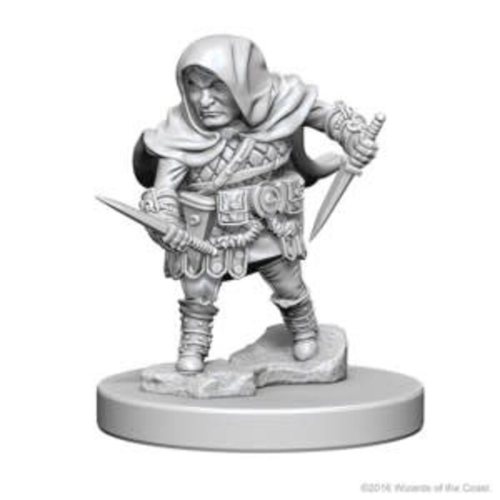 Wizkids/NECA LLC Nolzur's Marvelous Miniatures: Halfling Rogue Male (2018)