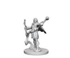 Wizkids/NECA LLC Pathfinder Deep Cuts Miniatures: Elf Sorcerer Male