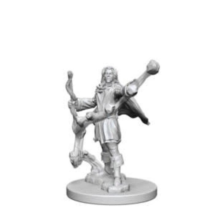 Wizkids/NECA LLC Pathfinder Deep Cuts Miniatures: Elf Sorcerer Male