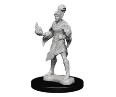 Wizkids/NECA LLC Pathfinder Deep Cuts Miniatures: Elf Sorcerer Female