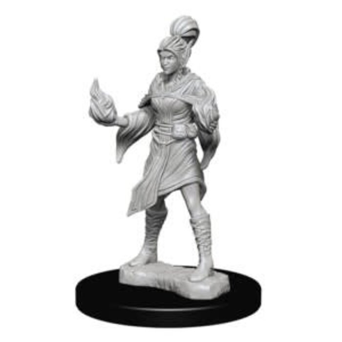 Wizkids/NECA LLC Pathfinder Deep Cuts Miniatures: Elf Sorcerer Female