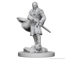 Wizkids/NECA LLC Nolzur's Marvelous Miniatures: Vampires