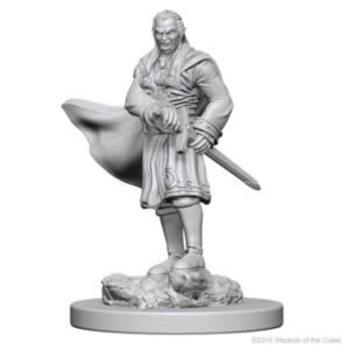 Wizkids/NECA LLC Nolzur's Marvelous Miniatures: Vampires