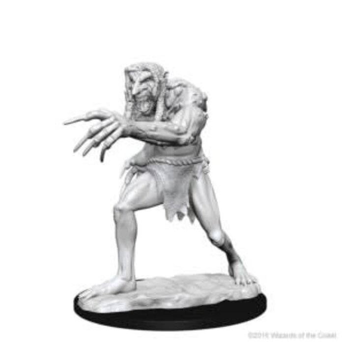 Wizkids/NECA LLC Nolzur's Marvelous Miniatures: Troll