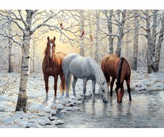 Cobble Hill Puzzles 1000 pcs - Winter Trio