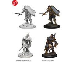Wizkids/NECA LLC Nolzur's Marvelous Miniatures: Human Paladin Male (2019)