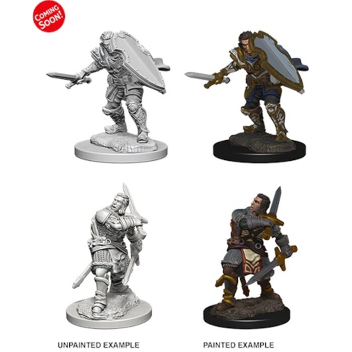 Wizkids/NECA LLC Nolzur's Marvelous Miniatures: Human Paladin Male (2019)