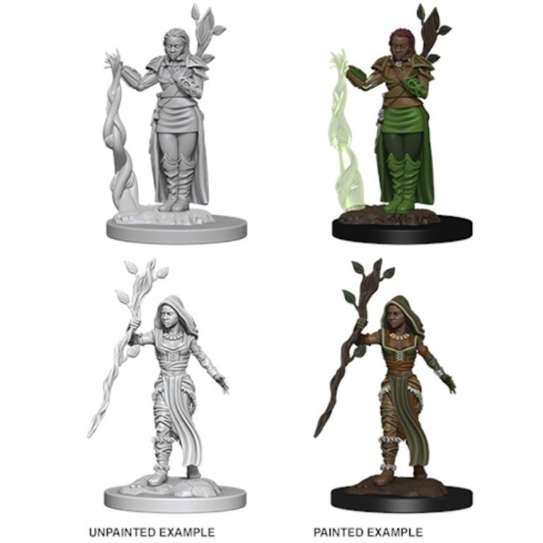 D/&d Nolzurs Marvelous Miniatures Water Genasi Male Druid