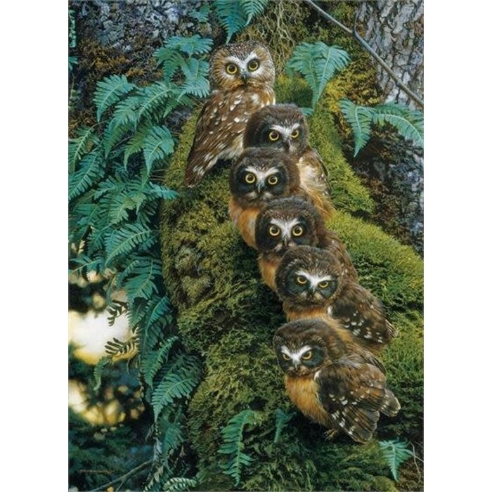 Cobble Hill Puzzles 1000 pcs - Family Tree