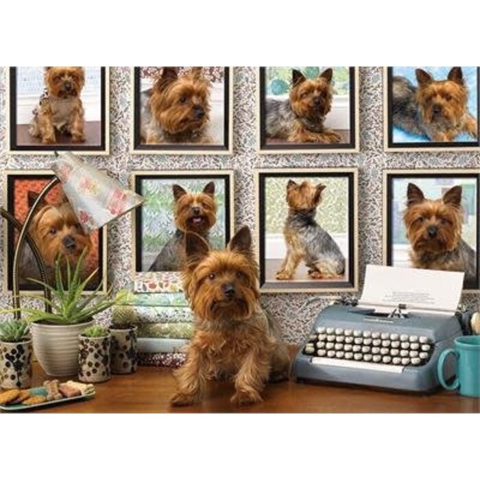 Hills yorkshire terrier 2025