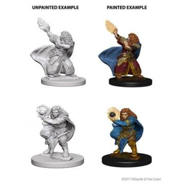Wizkids/NECA LLC Nolzur's Marvelous Miniatures: Dwarf Wizard Female