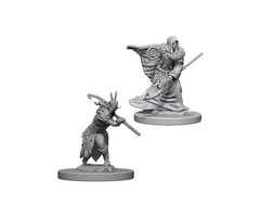 Wizkids/NECA LLC Nolzur's Marvelous Miniatures: Elf Druid Male