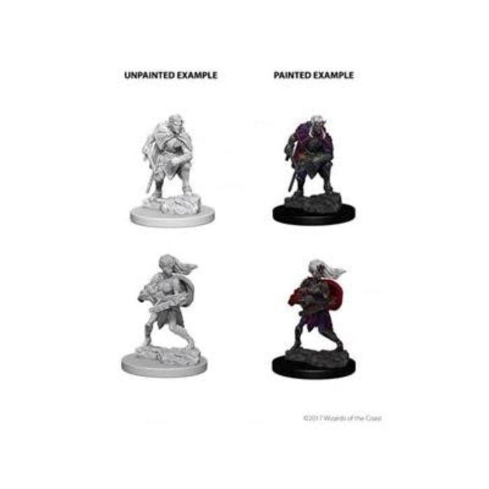 Wizkids/NECA LLC Nolzur's Marvelous Miniatures: Drow