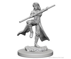 Wizkids/NECA LLC Nolzur's Marvelous Miniatures: Human Monk Female (2018)