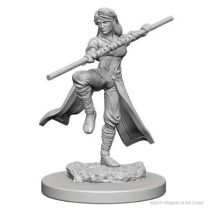 Wizkids/NECA LLC Nolzur's Marvelous Miniatures: Human Monk Female (2018)