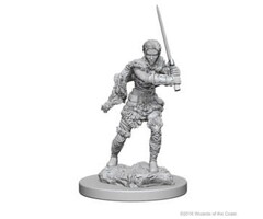 Wizkids/NECA LLC Nolzur's Marvelous Miniatures: Human Barbarian Female (2018)