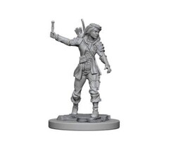 Wizkids/NECA LLC Pathfinder Deep Cuts Miniatures: Human Rogue Female